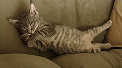 Poradnik śpiocha: Jak nie mieć koszmarów 1