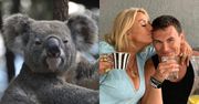 Dagmara Kaźmierska porównuje synka Conanka do... misia koala. Słodko?