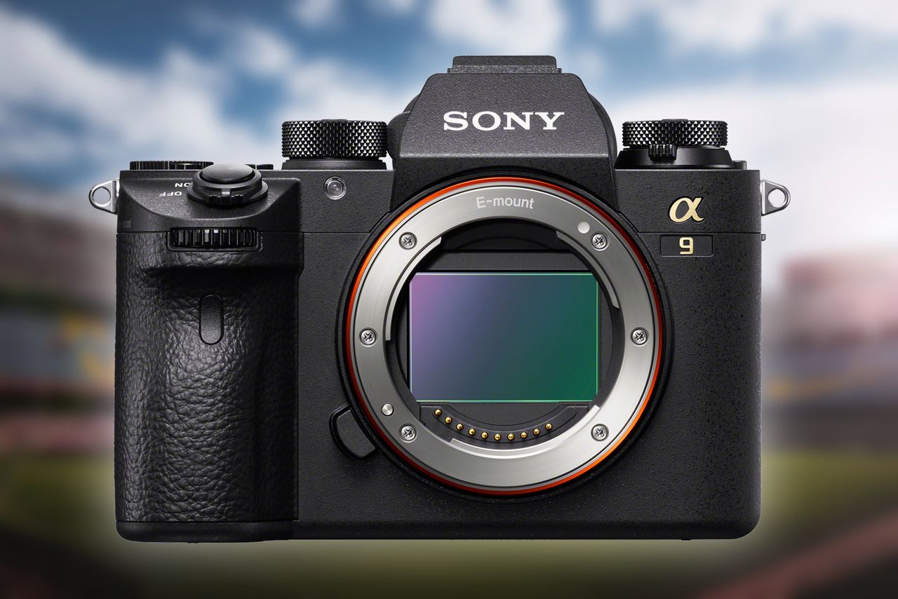 Sony A9: aktualizacja wprowadza Real-Time Eye AF dla zwierząt oraz interwałometr