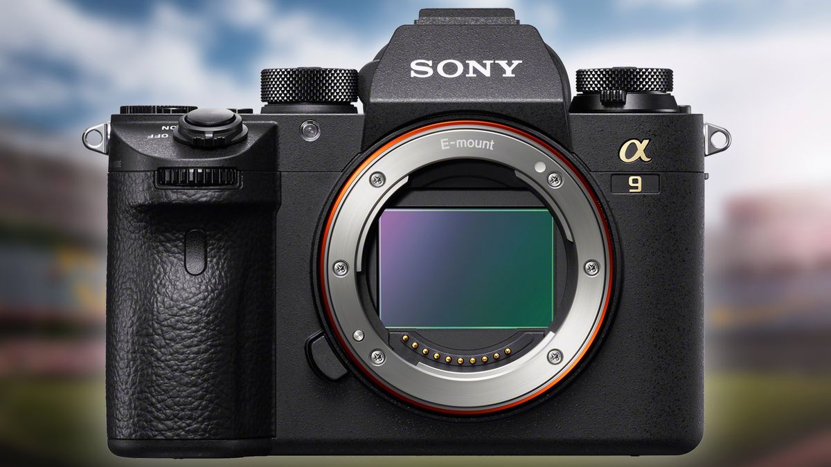 Sony A9: aktualizacja wprowadza Real-Time Eye AF dla zwierząt oraz interwałometr 1
