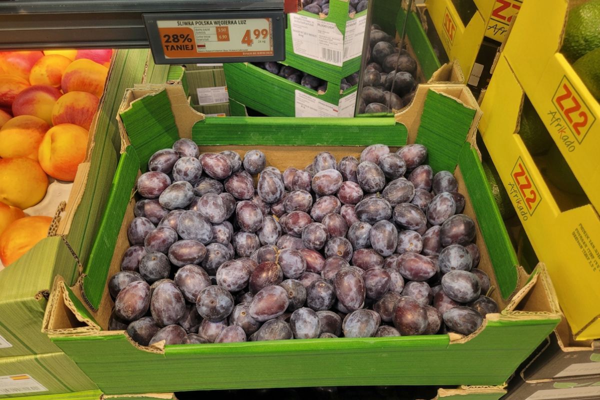 Do 27 września śliwki węgierki kosztują w Biedronce 4,99 za kg