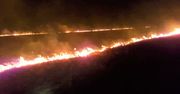 Pożar traw na nadnoteckich łąkach