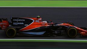 McLaren pochwalił jazdę Stoffela Vandoorne'a