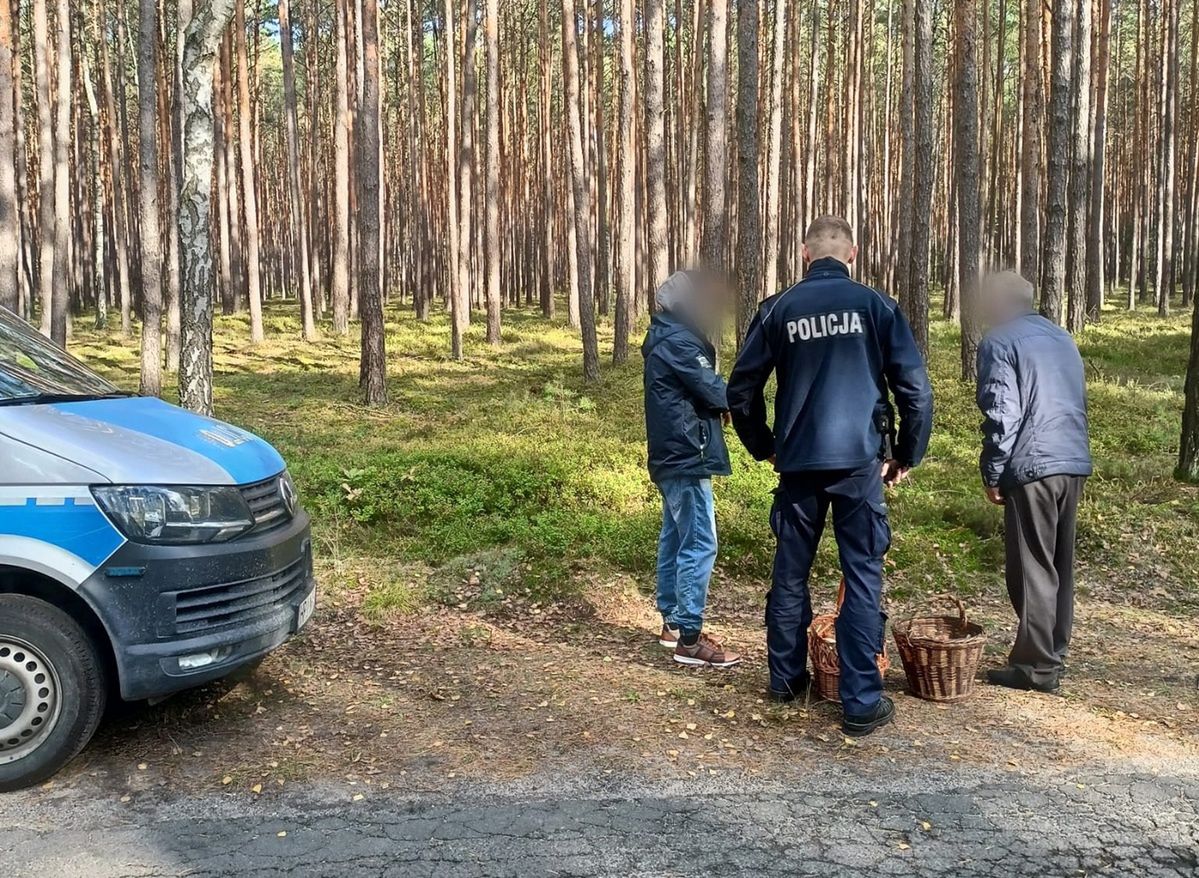 Zgubili się w lesie. Policja uratowała grzybiarzy