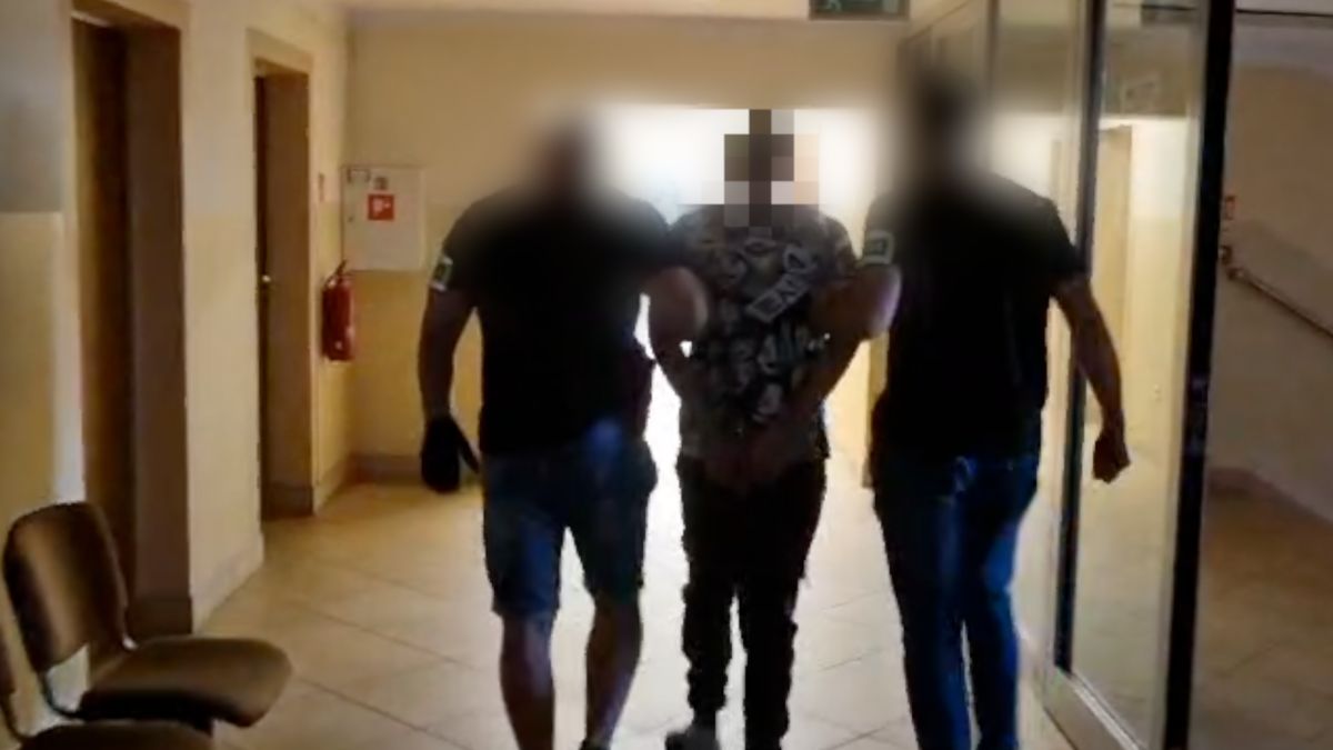 Dębica: 33-latek w areszcie. Odpowie za narkotyki i nielegalne posiadanie broni