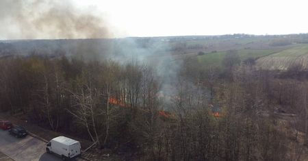 Pożar traw na ul. Koralowej. Akcję utrudniał porywisty wiatr (zdjęcia, wideo)