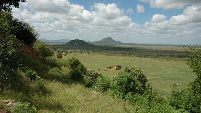 Google wprowadza nową usługę na afrykański rynek 1