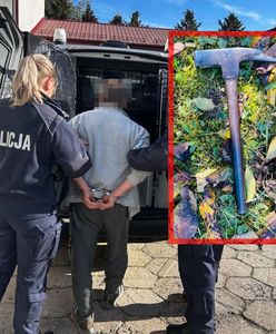 Wyskoczył z zarośli na policjantów. W ruch poszedł młotek
