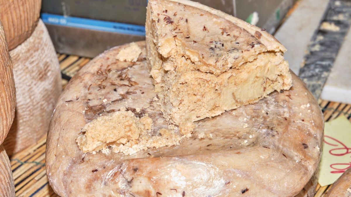 Ser Casu Marzu; źródło: AdobeStock