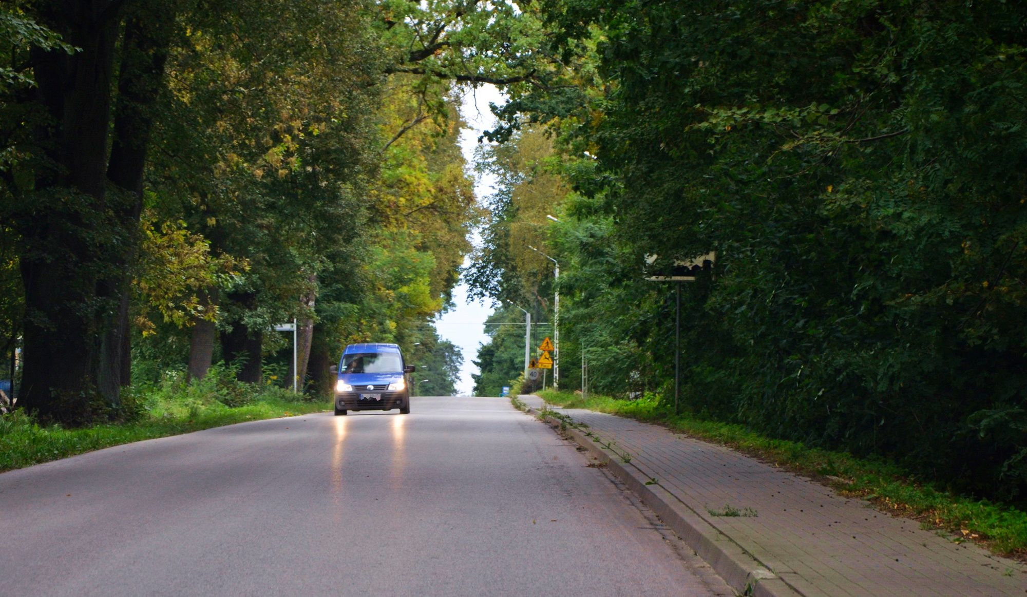 Widoczność tego znaku jest uzależniona od pory roku. Im więcej liści, tym mniej go widać.