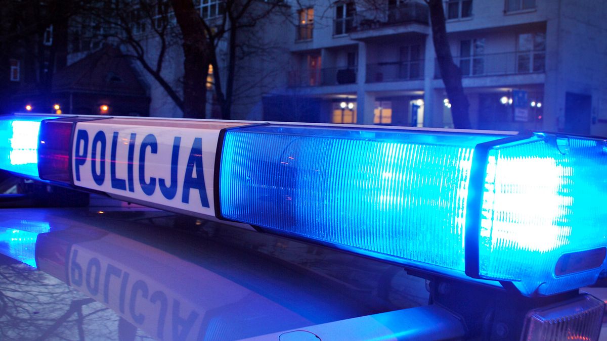 Międzynarodowa akcja policji doprowadziła do zatrzymania