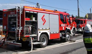 Opole. Pijany uderzył w ścianę domu i wjechał do salonu [WIDEO]