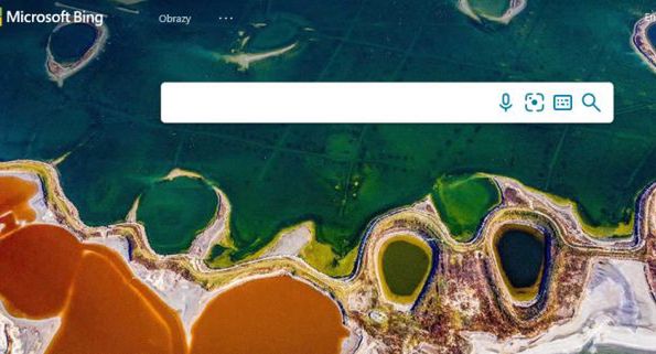 Czatbot w wyszukiwarce Bing z reklamami