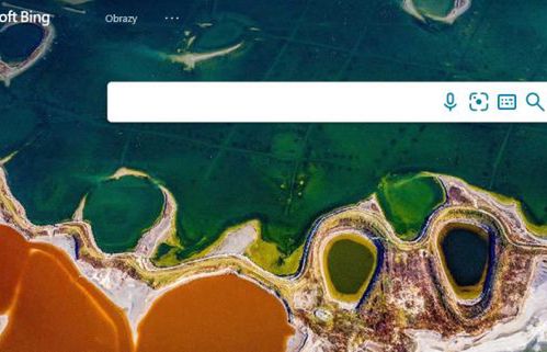 Czatbot w wyszukiwarce Bing z reklamami