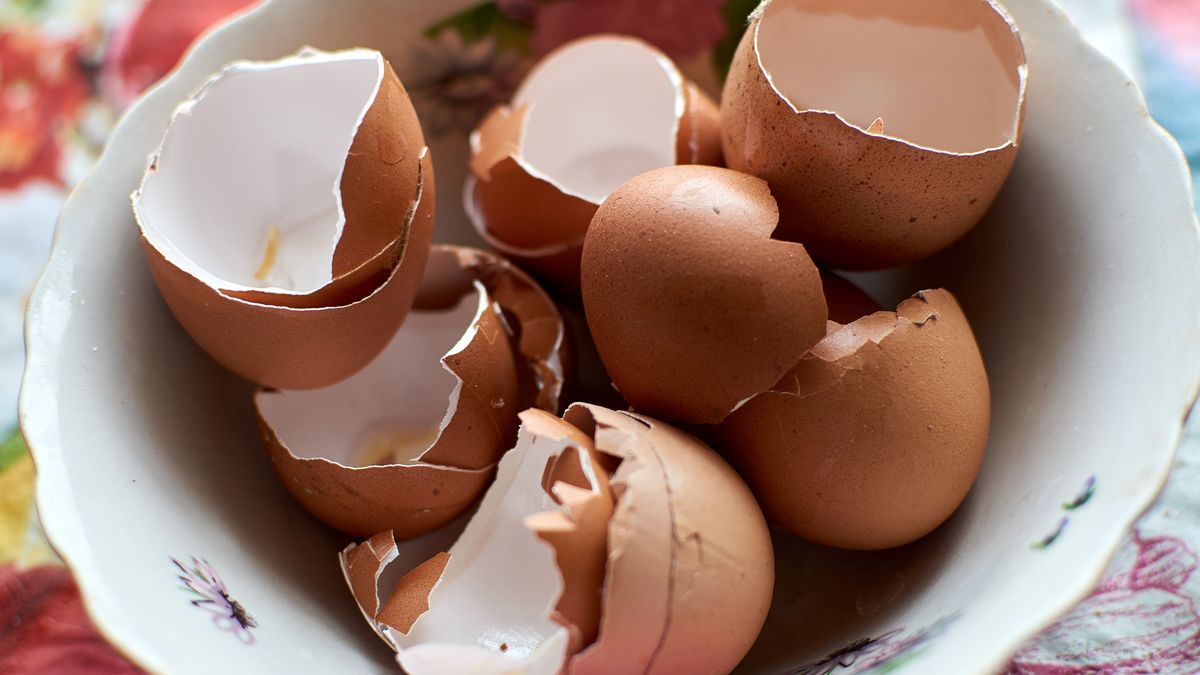 Ze skorupek jaj zrobisz ekologiczny płyn do czyszczenia patelni