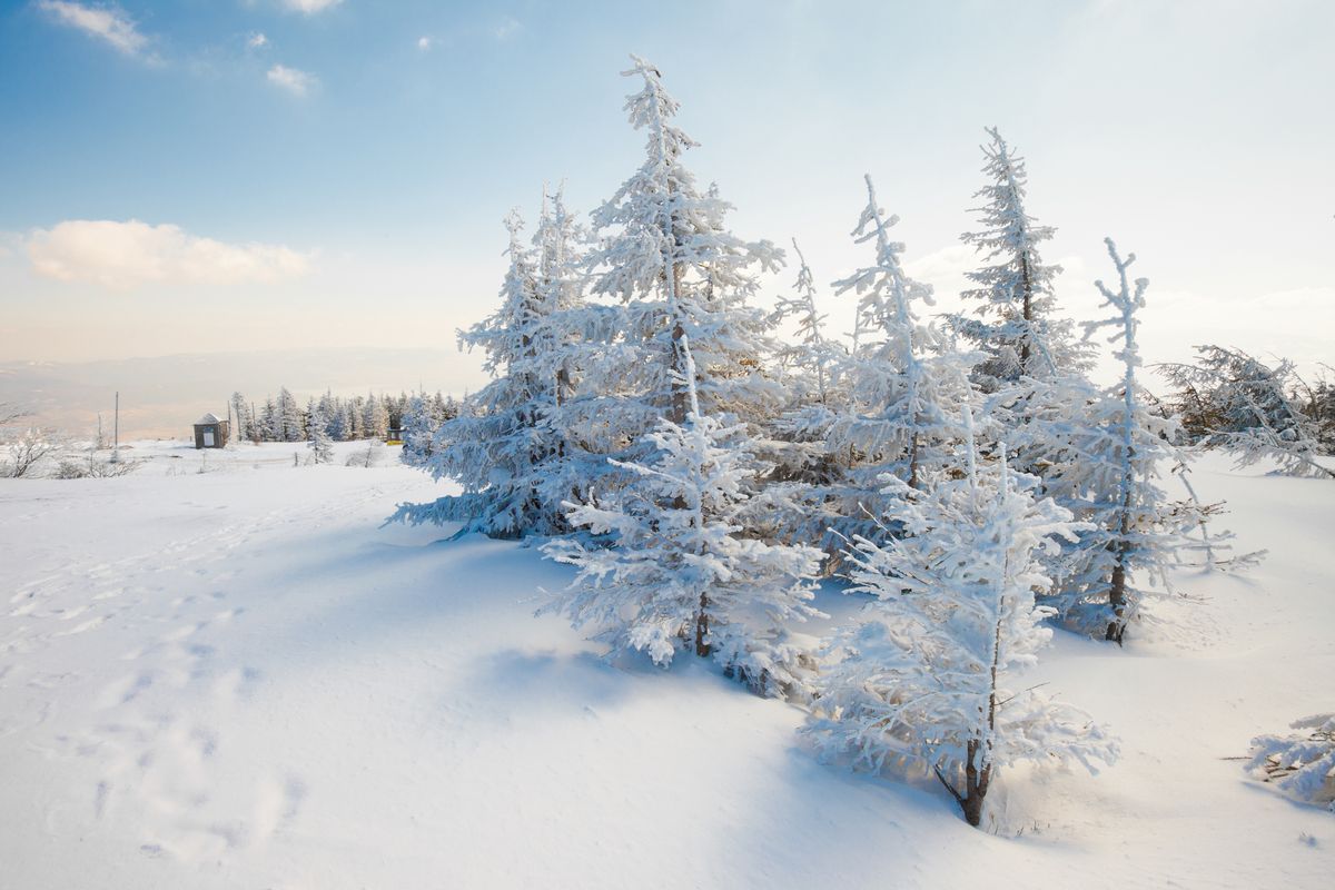 Kalendarzowa zima rozpoczyna się 22 grudnia