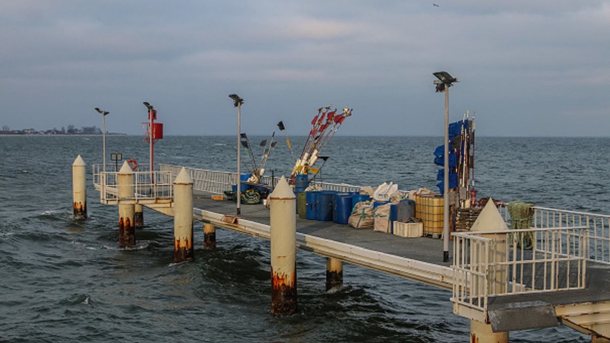 Ryby z Bałtyku są skażone