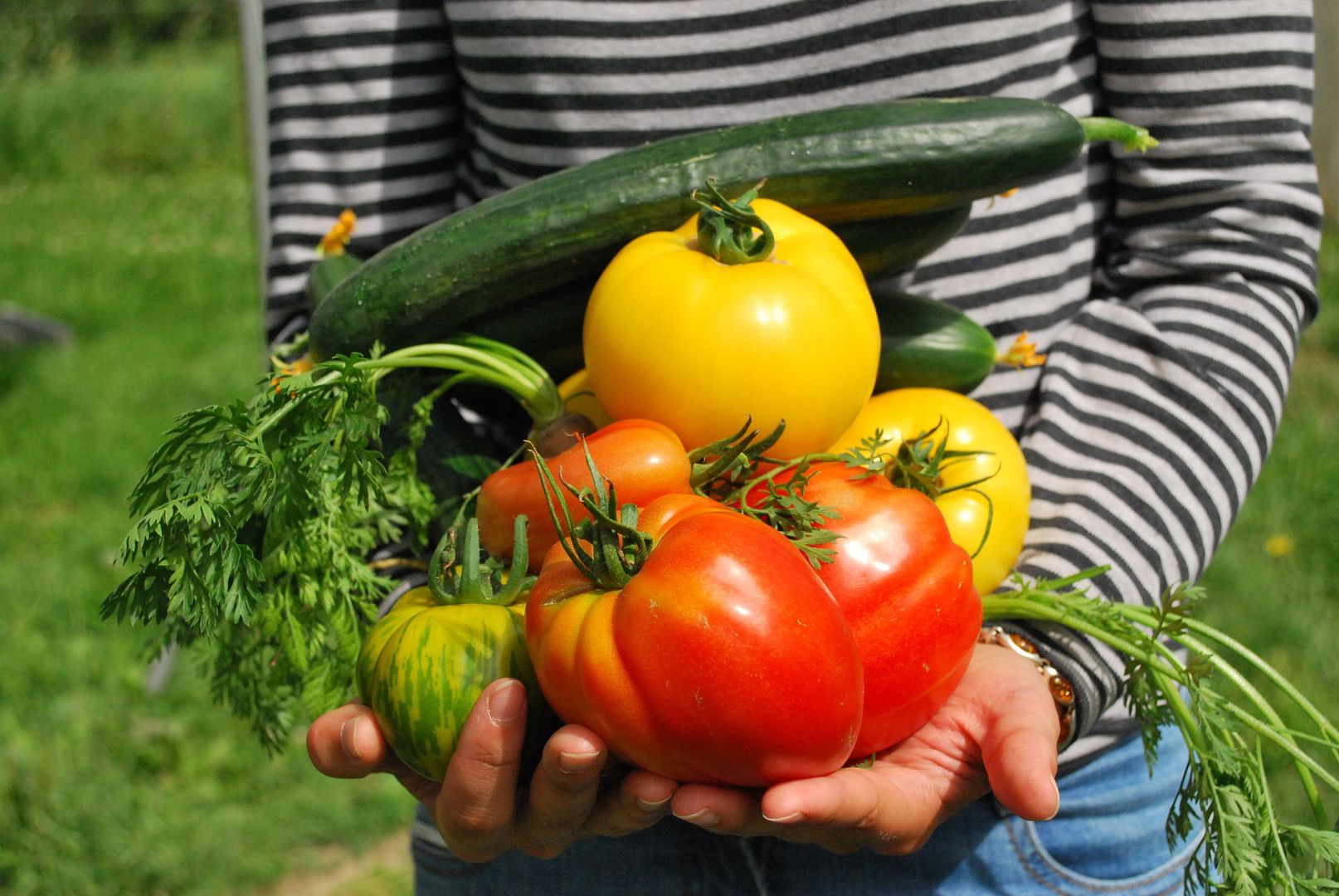 Jak jeść więcej warzyw i owoców? Triki dietetyka