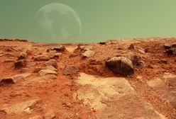 Elon Musk obawia się o kolonizację Marsa. Martwi go niewystarczająca liczba ludzi