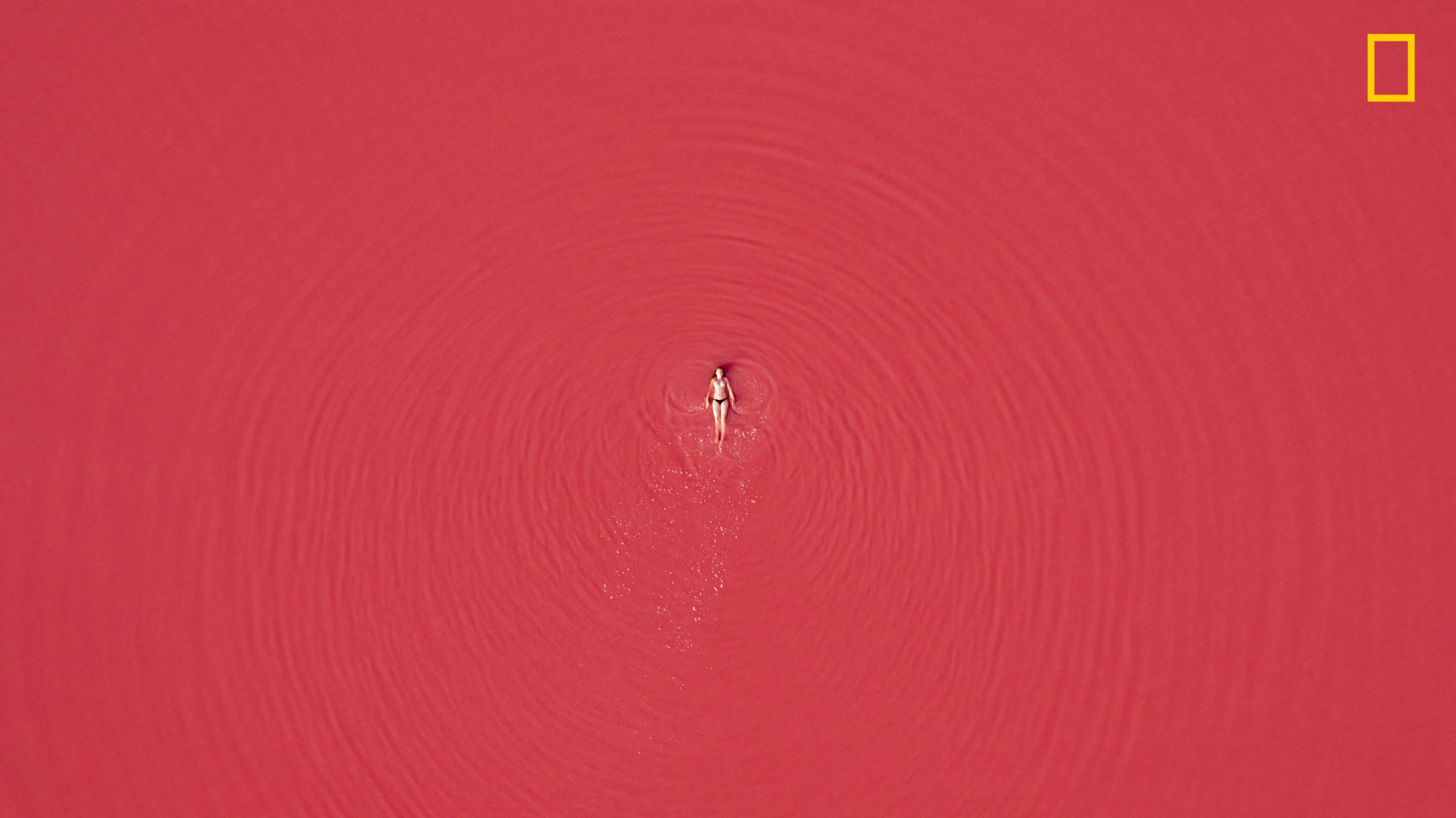 Ruszył konkurs fotograficzny Nature Photographer of The Year 2017. Pierwsze zgłoszone zdjęcia pokazują klasę 10