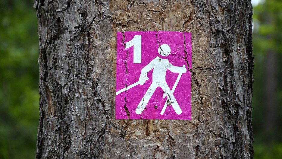Śląskie. Władze Katowic popularyzują nordic walking jako element dochodzenia do formy po pandemii Covid-19.