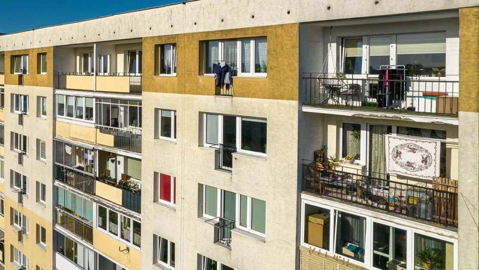 Sąsiad-donosiciel nie daje spokoju? Oto jak reagować, żeby nie przegrać tej wojny