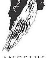 Zgłoszenia do Angelusa tylko do końca marca