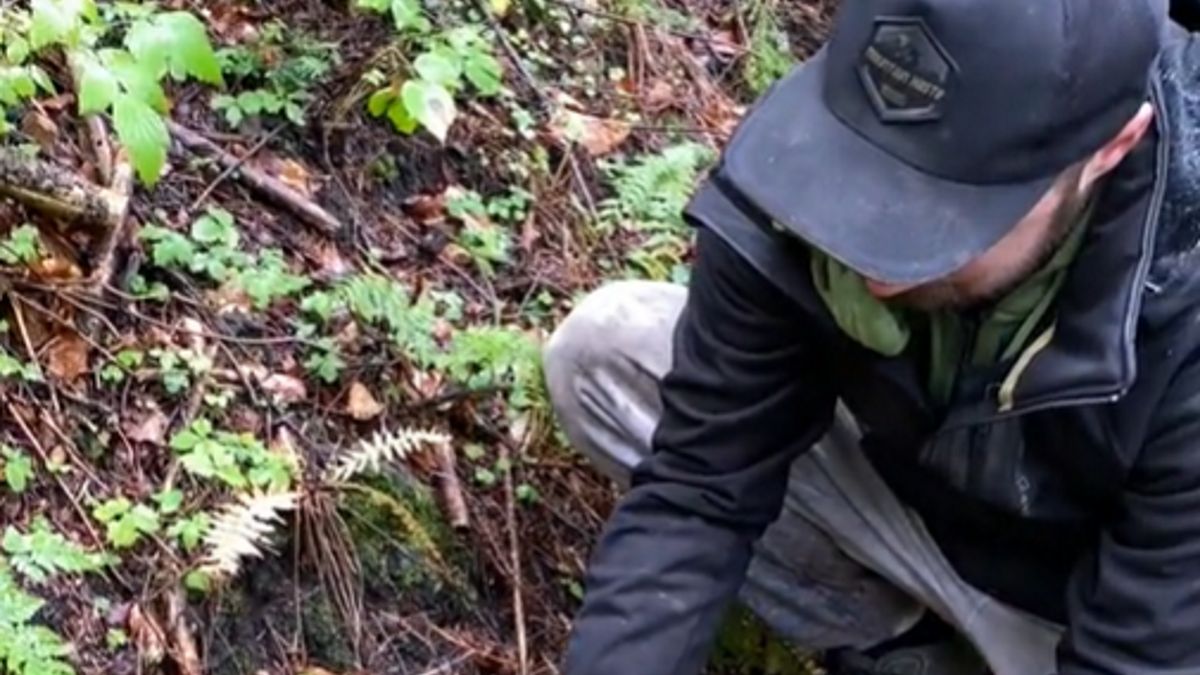 Internauci byli pod wrażeniem