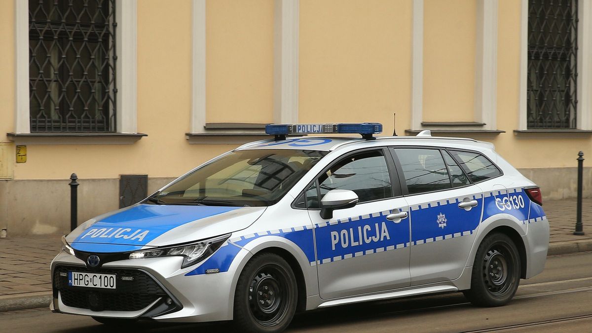 Płock. Samochód wjechał do galerii handlowej