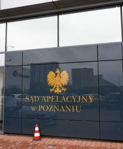 Groźny gang za kratami. Rabowali, handlowali narkotykami i bronią