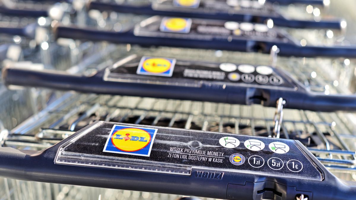 Lidl ma w swojej ofercie ponad 30porduktów dla wegetarian i wegan 