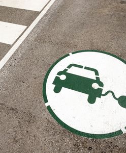 Ubezpieczenie elektryka. Oto na co trzeba zwrócić uwagę