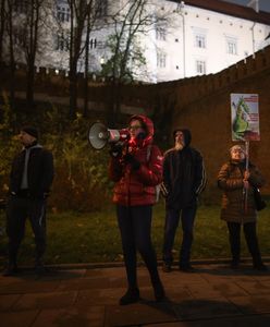 "Małpoludy". Powitali Kaczyńskiego na Wawelu