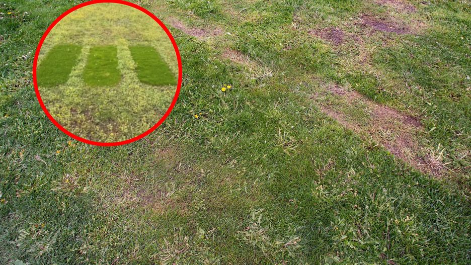 Tak rozprawisz się z łysiejącym trawnikiem