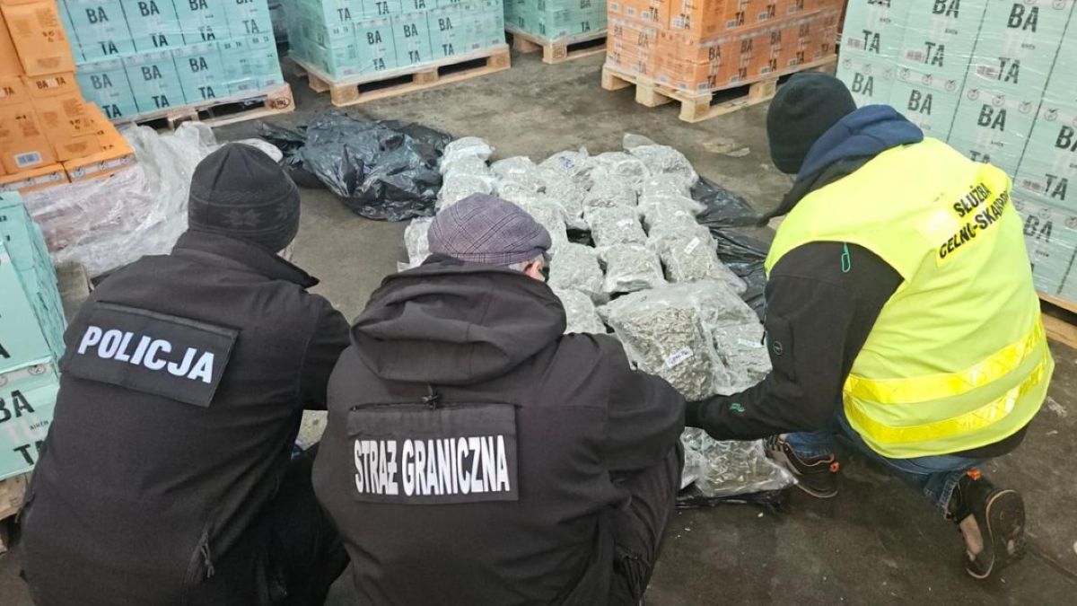 Policja zatrzymała trzech podejrzanych o przemyt narkotyków