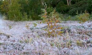 Mroźne noce, a w dzień nawet 18 st. C. Polska pod wpływem niżu