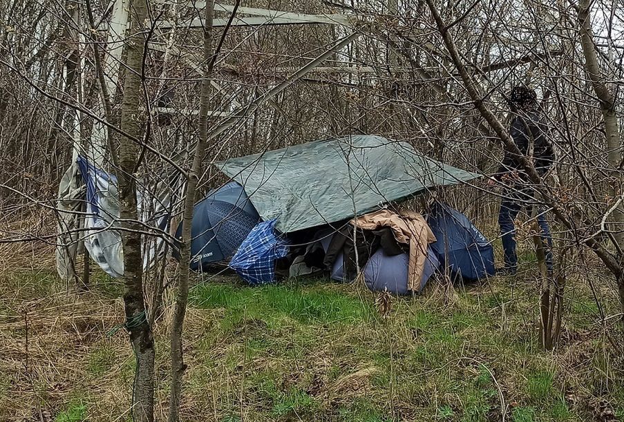 Ścigany listem gończym ukrywał się w leśnym szałasie