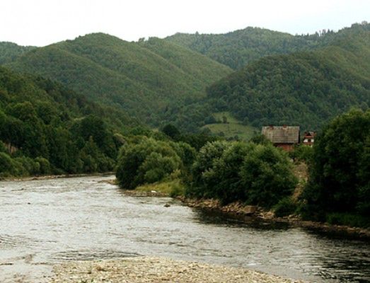 Obraz