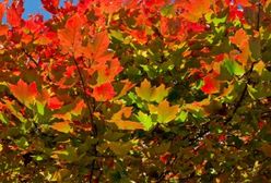 Październik - oto, co przynosi w polskiej pogodzie