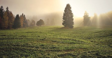 Tydzień zacznie się pochmurną pogodą oraz iście wiosennymi temperaturami