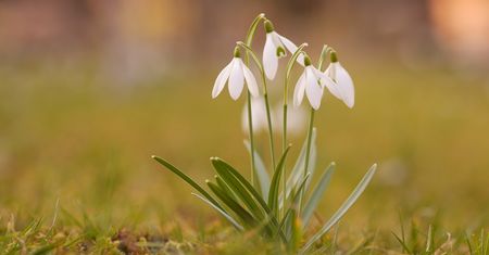 Czwartek ze zmienną pogodą i dużą rozpiętością temperatur