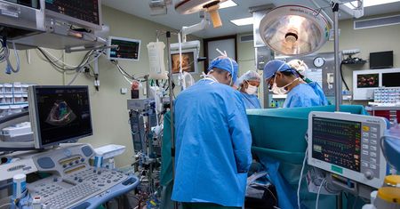Przełomowy przeszczep w Polsce: pierwszy transplant fragmentu wątroby od dorosłego dawcy dla dorosłego biorcy