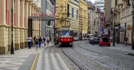 Czechy walczą z największą epidemią krztuśca od lat 60.