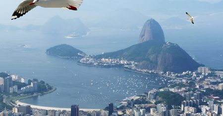 Taylor Swift przekłada koncert w Rio po tragicznej śmierci fana