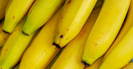 Przemyt kokainy o wartości 22 mln euro odkryty w dojrzewalniach bananów w Saksonii”