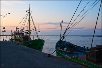 Kary pieniężne za naruszenie przepisów o rybołówstwie zgodne z konstytucją