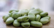 Młody bób – dlaczego warto go jeść