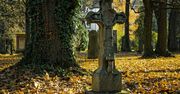 Nie ma miejsc na cmentarzach. Alternatywą jest kremacja i nekropolie ekologiczne