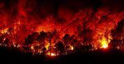 Tragiczne skutki pożarów w Chile: 51 ofiar i setki zaginionych