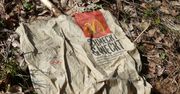 Kryzys technologiczny w McDonald’s: Awaria systemu informatycznego paraliżuje globalną sieć fast foodów